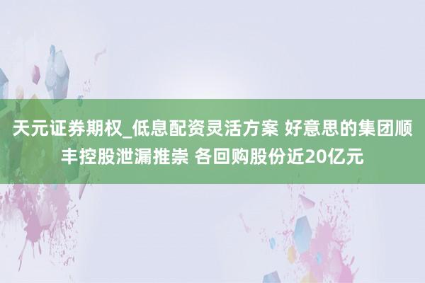 天元证券期权_低息配资灵活方案 好意思的集团顺丰控股泄漏推崇 各回购股份近20亿元